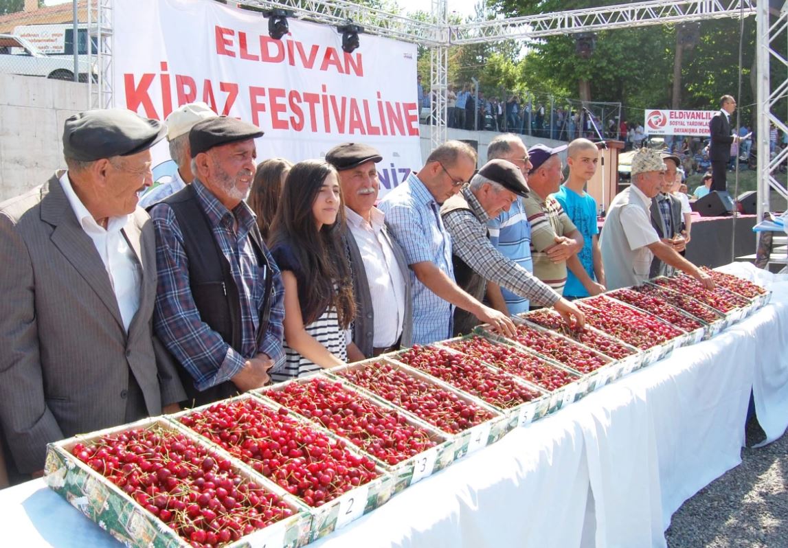 Eldivan’da kiraz festivali yapılacak