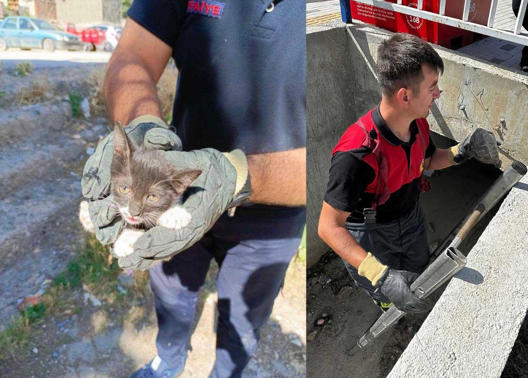 Çankırı Belediyesi, zor durumda kalan can dostların yardımına koştu